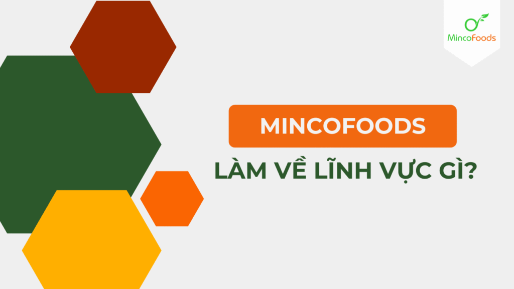 Mincofoods làm về lĩnh vực gì?